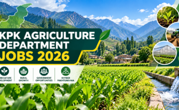 KPK Agriculture Department Jobs 2026