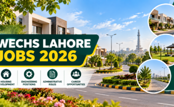 WECHS Lahore Jobs 2026
